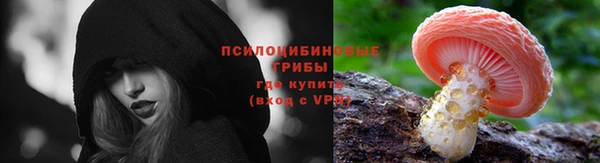 твердый Алексеевка
