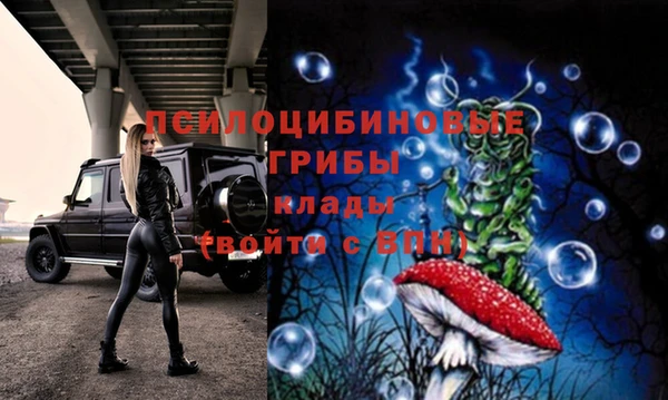 spice Алзамай