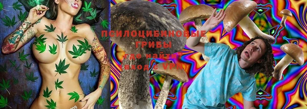 твердый Алексеевка